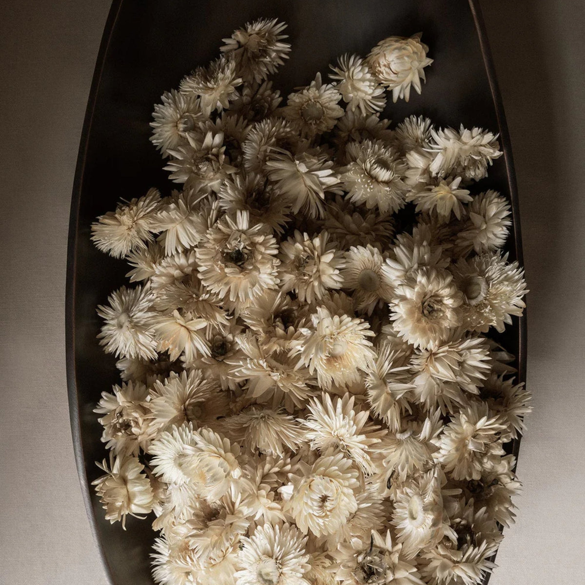 Pavot Centerpiece